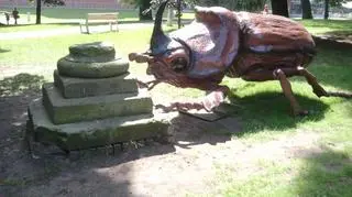 Owady giganty w Starym Browarze