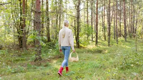 Październik przywita nas pogodą w kratkę i silniejszymi porywami wiatru