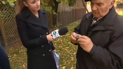 Geolog o kamieniu znalezionym w Jaworze