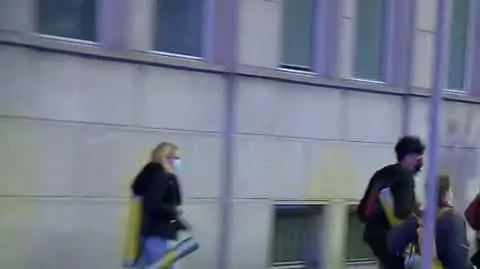 0909N043V GREENPEACE