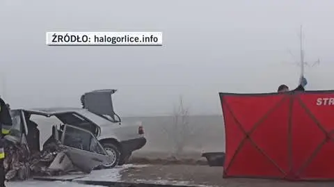 wypadek 