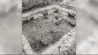 Trafiono na pochówek dziecka 