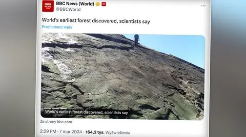 BBC