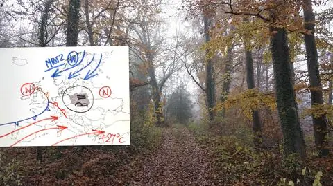 W Europie mróz i gorąco, w Polsce "leniwa i uśpiona" aura