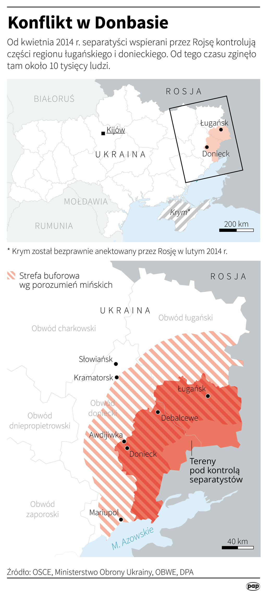 Aktualnie czytasz: Po stronie separatystów "walczą najemnicy z Francji, Hiszpanii i Chile"
