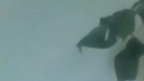 Justyna Suchecka o powrocie kolejnych uczniów do szkół