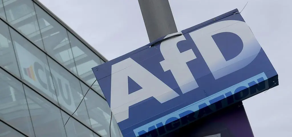 "Celem AfD jest przeoranie Niemiec na wielu poziomach". Co to oznacza dla Polski?
