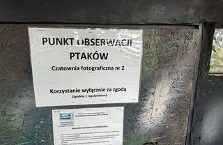 Zachowanie ptaka jest obserwowane z czatowni