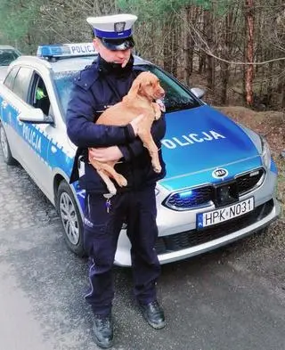 Porzuconym psem zaopiekowali się policjanci