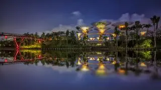 Gardens by the Bay