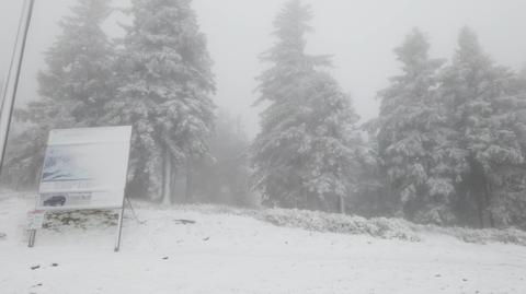 Zabieliły się stoki w Zieleńcu, pierwszy śnieg w Beskidach