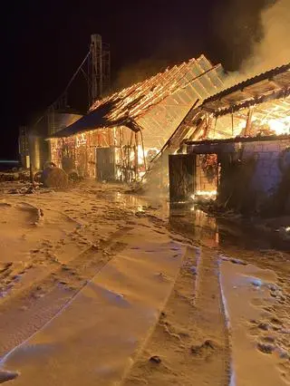 W pożarze stodoły zginęło 30 cieląt