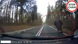 Do zdarzenia doszło na drodze krajowej 58 