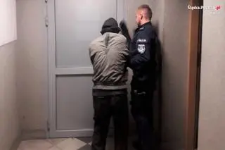 58-letni mężczyzna zabił psy i zakopał je na swojej posesji