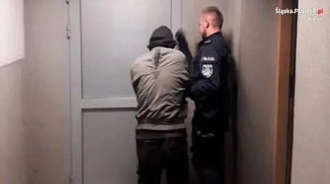 58-letni mężczyzna zabił psy i zakopał je na swojej posesji