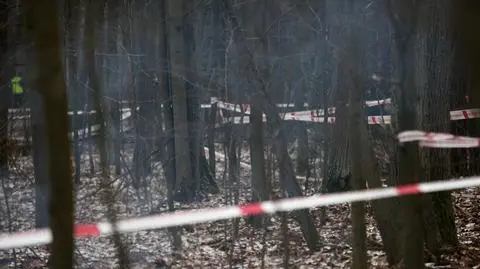 Pilot musiał mieć bardzo dużo szczęścia że przeżył