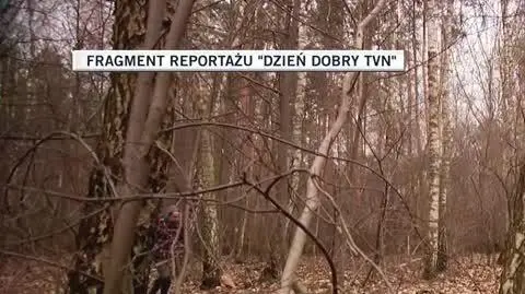 ddtvn