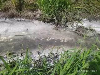 Zanieczyszczenie potoku Klikowskiego w Tarnowie (woj. małopolskie)