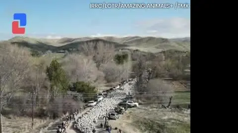 OWCE_VIDEO_PION_2604