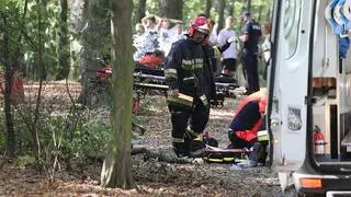 Chłopiec został przygnieciony konarem - zdjęcie z 2018 roku