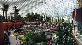 Gardens by the Bay