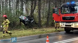 Auto wbiło się w drzewo 