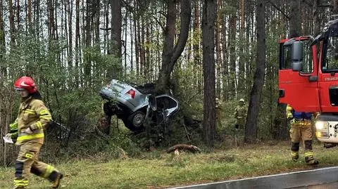 Auto wbiło się w drzewo 