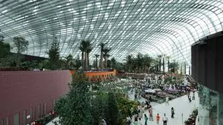 Gardens by the Bay