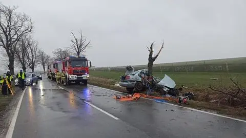 Osobowe volvo zawinęło się na drzewie