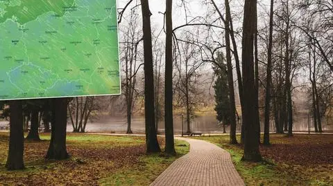 Pogoda na 5 dni: jaki będzie początek grudnia?
