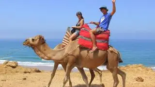 W 2011 roku dotarli do Maroka