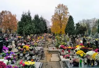 Ich popularność rośnie. "Najlepszym rozwiązaniem byłoby wycofanie ze sprzedaży"