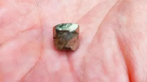 Skusiła go bryłka złota. Nie wiedział, że to "złoto głupców"