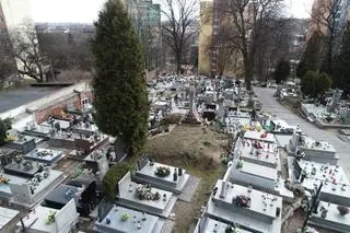 Archeolog zauważył na cmentarzu tajemnicze wzniesienie. Zaczął drążyć temat  