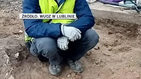 zolnierze