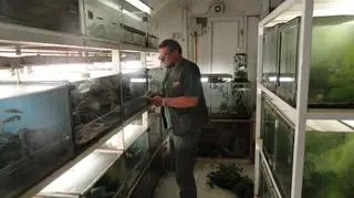 Praca na zapleciu terrarium w ZOO Pilzno