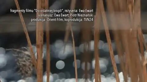3006N022V EWART
