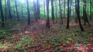 39-latek już po sobie posprzątał