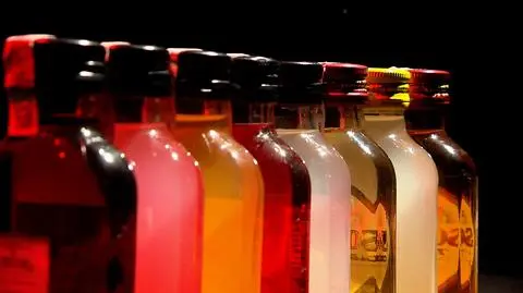 3105N333X PIS ZALEWSKI