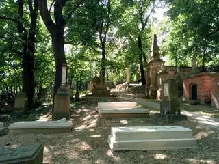 Fragmenty pomnika znaleziono przy Starym Cmentarzu Podgórskim