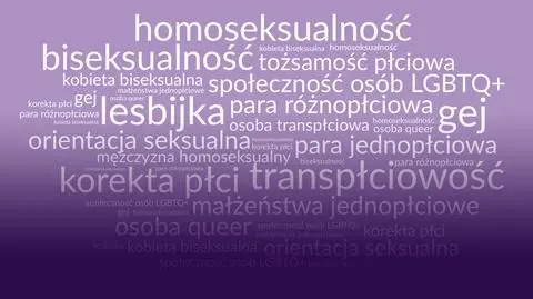 Homoseksualizm nie istnieje. O relacji języka i seksualności
