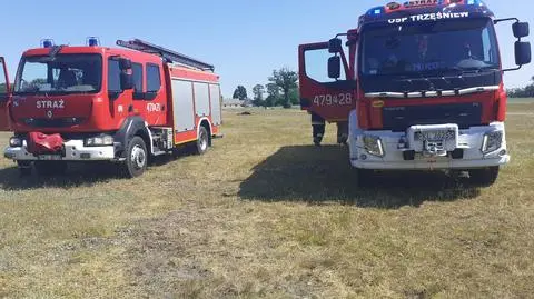 Jednej nocy w gospodarstwie padło 15 z 17 koni