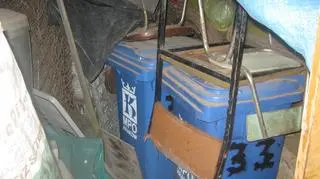 Odnaleziono m