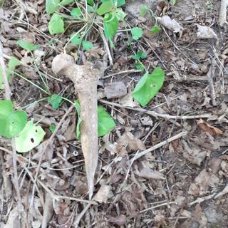 Miejsce pochówki jest dziś prywatną działką 