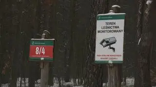 W lesie skradziono fotopułapkę
