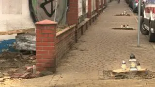 Wycięli trzy stuletnie kasztanowce w centrum Katowic