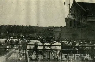 Rzeźnia miejska na Garbarach (1925 r.)