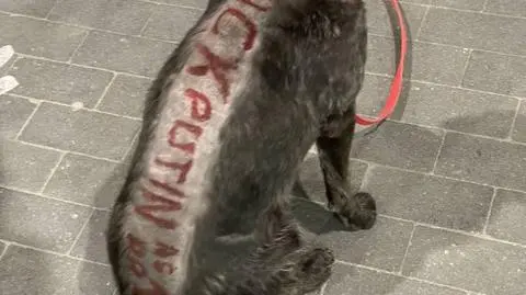 Miał na grzebiecie napis obrażający prezydenta Rosji