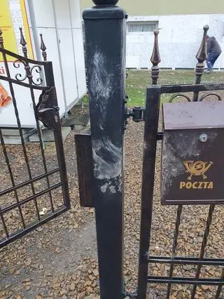 Niedźwiedź przeskoczył ogrodzenie i wszedł na posesję pani Justyny. Widoczny jest jeszcze odcisk łapy drapieżnika 