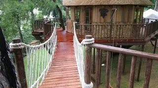 Treehouse - luksusowe domki na drzewie